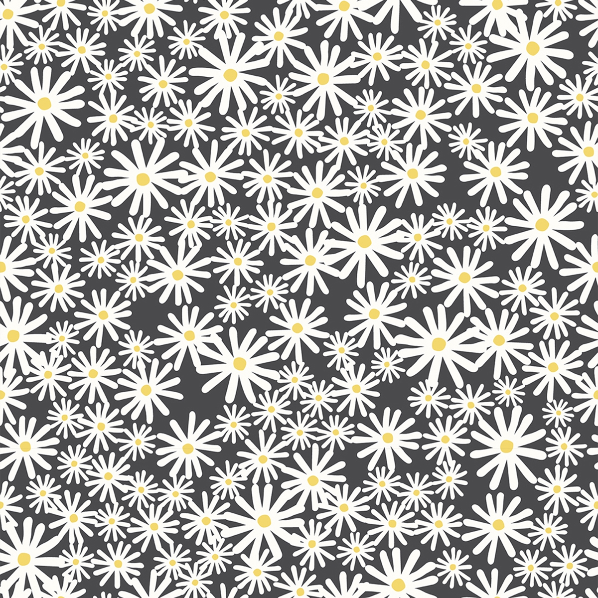 Product photograph of Daisy Black Roman Blind from Choice Furniture Superstore.
